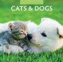 Image for Cats &amp; Dogs 2024 Square Wall Calendar