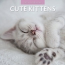 Image for Cute Kittens 2024 Square Wall Calendar