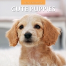Image for Cute Puppies 2024 Square Wall Calendar
