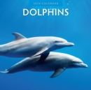 Image for Dolphins 2024 Square Wall Calendar