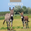 Image for Donkeys 2024 Square Wall Calendar
