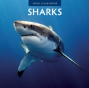 Image for Sharks 2024 Square Wall Calendar