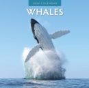 Image for Whales 2024 Square Wall Calendar
