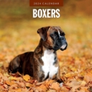 Image for Boxers 2024 Square Wall Calendar