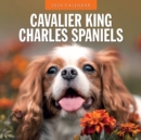 Image for Cavalier King Charles Spaniels 2024 Square Wall Calendar