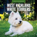 Image for West Highland White Terriers 2024 Square Wall Calendar