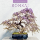 Image for Bonsai 2024 Square Wall Calendar