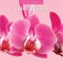 Image for Orchids 2024 Square Wall Calendar