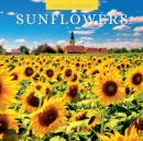 Image for Sunflowers 2024 Square Wall Calendar