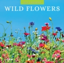 Image for Wildflowers 2024 Square Wall Calendar