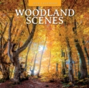 Image for Woodland Scenes 2024 Square Wall Calendar