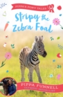 Image for Stripy the zebra foal