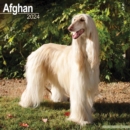 Image for Afghan Calendar 2024  Square Dog Breed Wall Calendar - 16 Month