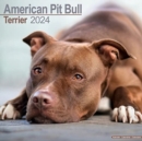 Image for American Pit Bull Terrier Calendar 2024  Square Dog Breed Wall Calendar - 16 Month