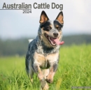 Image for Australian Cattle Dog Calendar 2024  Square Dog Breed Wall Calendar - 16 Month