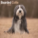 Image for Bearded Collie Calendar 2024  Square Dog Breed Wall Calendar - 16 Month