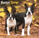 Image for Boston Terrier Calendar 2024  Square Dog Breed Wall Calendar - 16 Month