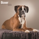 Image for Boxer (Euro) Calendar 2024  Square Dog Breed Wall Calendar - 16 Month