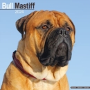 Image for Bull Mastiff Calendar 2024  Square Dog Breed Wall Calendar - 16 Month