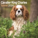 Image for Cavalier King Charles Calendar 2024  Square Dog Breed Wall Calendar - 16 Month