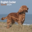 Image for English Cocker Spaniel Calendar 2024  Square Dog Breed Wall Calendar - 16 Month