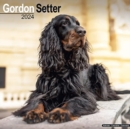 Image for Gordon Setter Calendar 2024  Square Dog Breed Wall Calendar - 16 Month