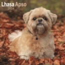 Image for Lhasa Apso Calendar 2024  Square Dog Breed Wall Calendar - 16 Month
