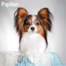 Image for Papillon Calendar 2024  Square Dog Breed Wall Calendar - 16 Month