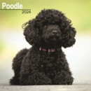 Image for Poodle Calendar 2024  Square Dog Breed Wall Calendar - 16 Month