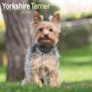 Image for Yorkshire Terrier Calendar 2024  Square Dog Breed Wall Calendar - 16 Month