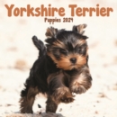 Image for Yorkshire Terrier Puppies Calendar 2024  Square Dog Puppy Breed Wall Calendar - 16 Month