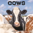 Image for Cows Calendar 2024  Square Farm Animal Wall Calendar - 16 Month