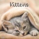 Image for Kittens Calendar 2024  Square Cats Wall Calendar - 16 Month