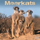 Image for Meerkats Calendar 2024  Square Wildlife Safari Wall Calendar - 16 Month