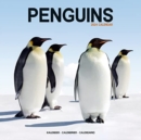 Image for Penguins Calendar 2024  Square Animal Wall Calendar - 16 Month