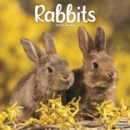 Image for Rabbits   Calendar 2024  Square Animal Wall Calendar - 16 Month