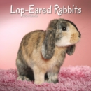 Image for Rabbits - Lop Eared Calendar 2024  Square Animal Wall Calendar - 16 Month
