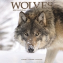 Image for Wolves Calendar 2024  Square Animal Wall Calendar - 16 Month