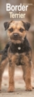 Image for Border Terrier Slim Calendar 2024  Dog Breed Slimline Calendar - 12 Month