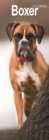 Image for Boxer Slim Calendar 2024  Dog Breed Slimline Calendar - 12 Month