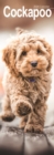 Image for Cockapoo Slim Calendar 2024  Dog Breed Slimline Calendar - 12 Month
