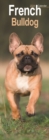 Image for French Bulldog Slim Calendar 2024  Dog Breed Slimline Calendar - 12 Month