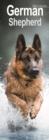 Image for German Shepherd Slim Calendar 2024  Dog Breed Slimline Calendar - 12 Month