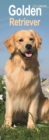 Image for Golden Retriever Slim Calendar 2024  Dog Breed Slimline Calendar - 12 Month