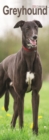 Image for Greyhound Slim Calendar 2024  Dog Breed Slimline Calendar - 12 Month