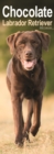 Image for Chocolate Labrador  Slim Calendar 2024  Dog Breed Slimline Calendar - 12 Month