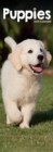 Image for Puppies Slim Calendar 2024  Cute Slimline Calendar - 12 Month