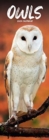 Image for Owls Slim Calendar 2024  Bird Slimline Calendar - 12 Month
