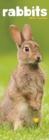 Image for Rabbits Slim Calendar 2024  Cute Slimline Calendar - 12 Month