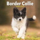 Image for Border Collie Puppies Mini Calendar 2024